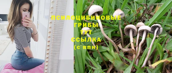 хмурый Алексин