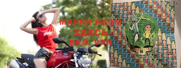 хмурый Алексин